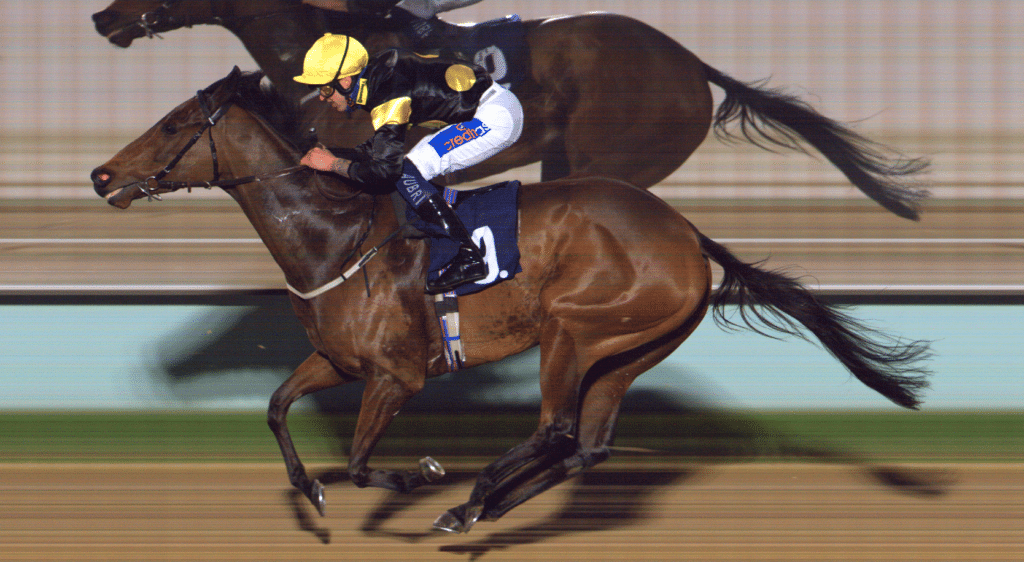 Carreras de caballos nocturnas